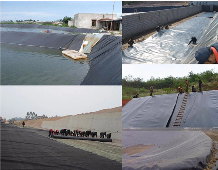 HDPE/LDPE Geomembrane for Tank Aquaculture Pond Liner