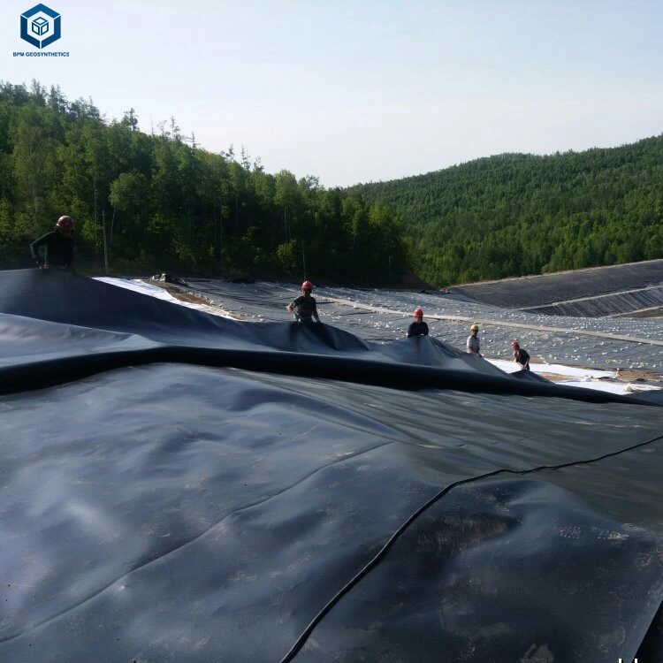 Fatory Price Plastic Film 0.5mm 1mm 2mm HDPE LDPE LLDPE Aquaculture Agriculture Dam Landfill Fish Pond Farm Tank Geomembrane Lining Pond Pool Liner Geomembrana