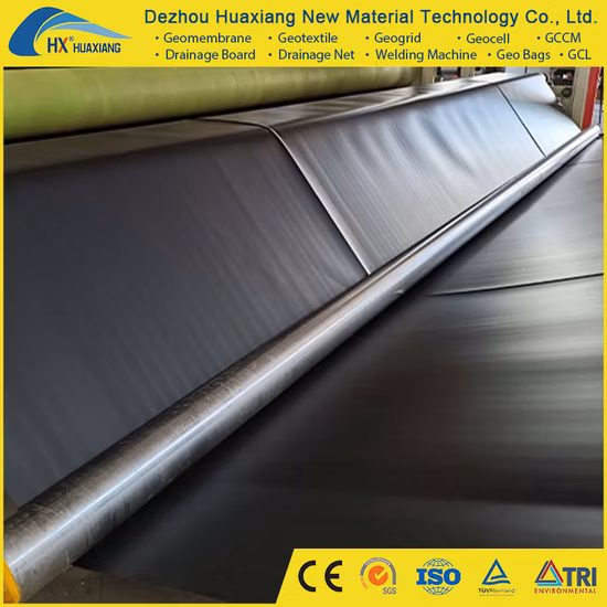 HDPE-Geomembran-Teichfolie, Fischteichfolie, Farm-Geomembran-Preis, globaler Verkauf