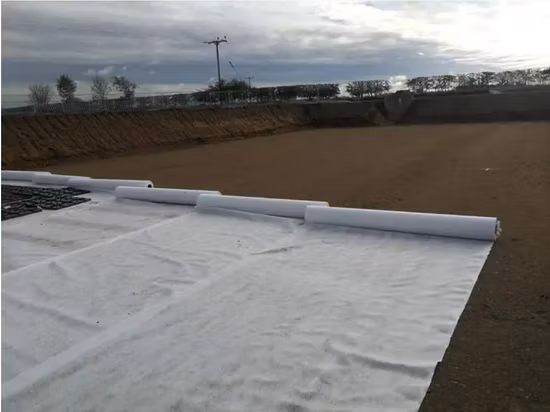 China-Fabrikpreis PP/Pet-Endlosfilament-Stapel-/Kurzfaser-Polyester-Polypropylen-Nadelgestanztes Spinnvlies-Vliesstoff-Vlies-Geotextil