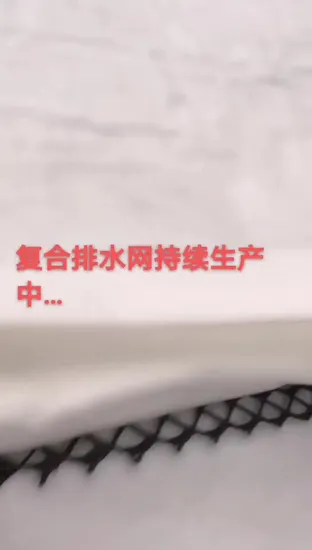 Geokomposit-Drainage-Geonet, das auf Deponien verwendet wird