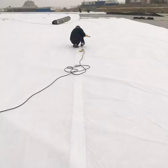 Preis 200g 300g pro M2 Filament Pet PP Vliesstoff Geotextilstoff Geotextil