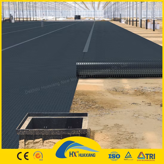 0,2 mm/0,5 mm/1,0 mm/2,0 mm schwarze Kunststofffolienauskleidung CE/ASTM Viring wasserdichte HDPE-Geomembran für Landwirtschafts-/Staudamm-/Deponie-/See-/Biogas-/Aquakulturprojekte