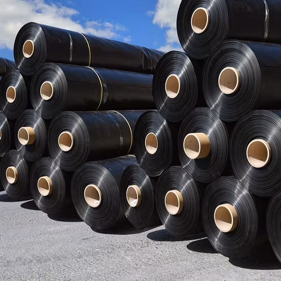 HDPE LDPE LLDPE 1 mm Damm Teichfolie 1,5 mm 2 mm Deponie Biogas Faulbehälter Liner Geomembrane