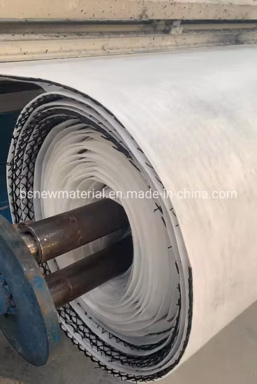 HDPE-Doppelplaner-Drainage-Verbund-Geonet